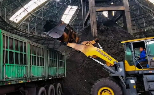 全力以赴 保障煤炭和电力供应 筑牢能源安全的“压舱石”