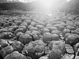 山西同世达煤化工集团污染事件 煤炭产业背后的环保隐忧